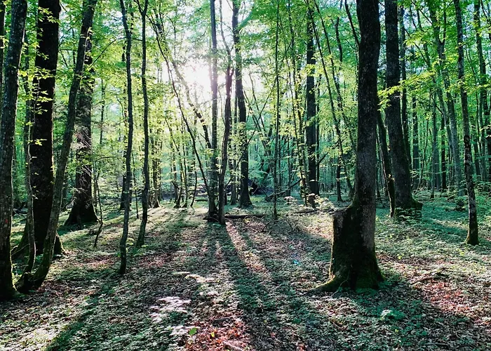 Apartman Oasis Folkendange