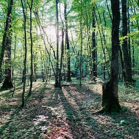 Apartman Oasis Folkendange