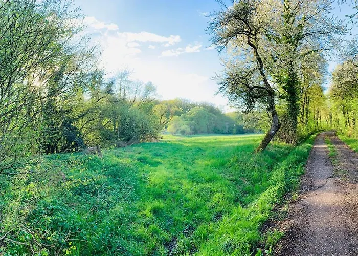 Oasis Appartamento *