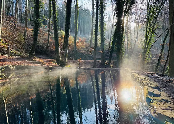 Appartamento Oasis *